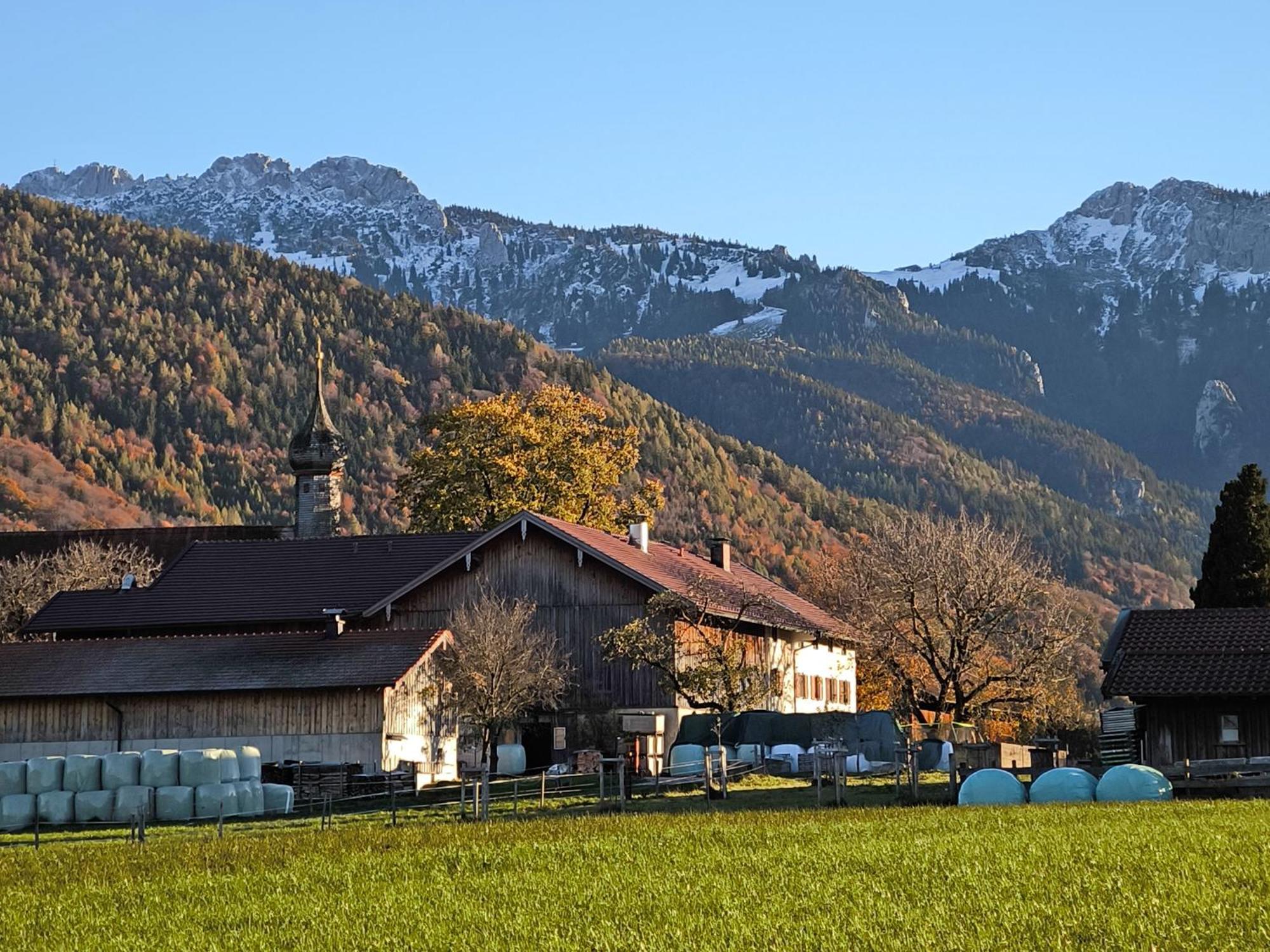 Вилла Bauernhof Geigerhof Ашау-им-Химгау Экстерьер фото